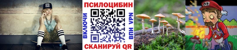 Галлюциногенные грибы MAGIC MUSHROOMS  Тайга 
